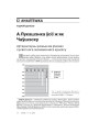 А Лукашэнка ўсё ж як Чаўшэску. Аўтарытарны рэжым ва ўмовах сусветнага эканамічнага крызісу