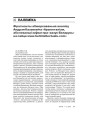 Фрагмэнты абмеркаваньня аналізу Андрэя Казакевіча «Арыенталізм, або некалькі заўваг пра «казус Беларусь» на сайце www.belintellectuals.com»