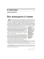 Без прэзыдэнта ў галаве
