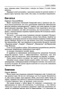 Кок-сагыз
