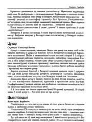 Цывілізацыя